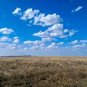 TZA MAR SerengetiNP 2016DEC24 Seronera 019 : 2016, 2016 - African Adventures, Africa, Date, December, Eastern, Mara, Month, Places, Serengeti National Park, Seronera, Tanzania, Trips, Year