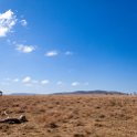 TZA MAR SerengetiNP 2016DEC24 ThachKopjes 001 : 2016, 2016 - African Adventures, Africa, Date, December, Eastern, Mara, Month, Places, Serengeti National Park, Tanzania, Thach Kopjes, Trips, Year
