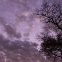 TZA MAR SerengetiNP 2016DEC25 Nguchiro 001 : 2016, 2016 - African Adventures, Africa, Date, December, Eastern, Mara, Month, Nguchiro Camp, Places, Serengeti National Park, Tanzania, Trips, Year