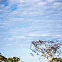 TZA MAR SerengetiNP 2016DEC25 SeroneraEast 005 : 2016, 2016 - African Adventures, Africa, Date, December, Eastern, Mara, Month, Places, Serengeti National Park, Seronera, Tanzania, Trips, Year
