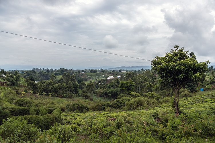 TZA MBE Tukuyu 2016DEC15 003