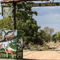 TZA MOR Mikumi 2016DEC16 NP 003 : 2016, 2016 - African Adventures, Africa, Date, December, Eastern, Mikumi, Month, Morogoro, National Park, Places, Tanzania, Trips, Year