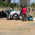 TZA MOR Mikumi 2016DEC16 NP 006 : 2016, 2016 - African Adventures, Africa, Date, December, Eastern, Mikumi, Month, Morogoro, National Park, Places, Tanzania, Trips, Year