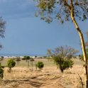 TZA MOR Mikumi 2016DEC16 NP 010 : 2016, 2016 - African Adventures, Africa, Date, December, Eastern, Mikumi, Month, Morogoro, National Park, Places, Tanzania, Trips, Year