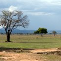 TZA MOR Mikumi 2016DEC16 NP 011 : 2016, 2016 - African Adventures, Africa, Date, December, Eastern, Mikumi, Month, Morogoro, National Park, Places, Tanzania, Trips, Year