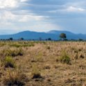 TZA MOR Mikumi 2016DEC16 NP 012 : 2016, 2016 - African Adventures, Africa, Date, December, Eastern, Mikumi, Month, Morogoro, National Park, Places, Tanzania, Trips, Year