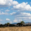TZA MOR Mikumi 2016DEC16 NP 013 : 2016, 2016 - African Adventures, Africa, Date, December, Eastern, Mikumi, Month, Morogoro, National Park, Places, Tanzania, Trips, Year