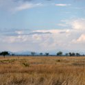 TZA MOR Mikumi 2016DEC16 NP 016 : 2016, 2016 - African Adventures, Africa, Date, December, Eastern, Mikumi, Month, Morogoro, National Park, Places, Tanzania, Trips, Year