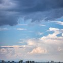 TZA MOR Mikumi 2016DEC16 NP 017 : 2016, 2016 - African Adventures, Africa, Date, December, Eastern, Mikumi, Month, Morogoro, National Park, Places, Tanzania, Trips, Year