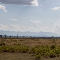 TZA MOR Mikumi 2016DEC16 NP 020 : 2016, 2016 - African Adventures, Africa, Date, December, Eastern, Mikumi, Month, Morogoro, National Park, Places, Tanzania, Trips, Year