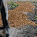 TZA MOR Mikumi 2016DEC16 NP 021 : 2016, 2016 - African Adventures, Africa, Date, December, Eastern, Mikumi, Month, Morogoro, National Park, Places, Tanzania, Trips, Year