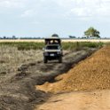 TZA MOR Mikumi 2016DEC16 NP 022 : 2016, 2016 - African Adventures, Africa, Date, December, Eastern, Mikumi, Month, Morogoro, National Park, Places, Tanzania, Trips, Year