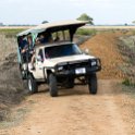 TZA MOR Mikumi 2016DEC16 NP 024 : 2016, 2016 - African Adventures, Africa, Date, December, Eastern, Mikumi, Month, Morogoro, National Park, Places, Tanzania, Trips, Year