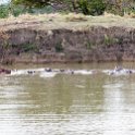 TZA MOR Mikumi 2016DEC16 NP 043 : 2016, 2016 - African Adventures, Africa, Date, December, Eastern, Mikumi, Month, Morogoro, National Park, Places, Tanzania, Trips, Year