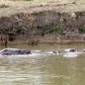 TZA MOR Mikumi 2016DEC16 NP 044 : 2016, 2016 - African Adventures, Africa, Date, December, Eastern, Mikumi, Month, Morogoro, National Park, Places, Tanzania, Trips, Year