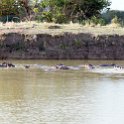 TZA MOR Mikumi 2016DEC16 NP 050 : 2016, 2016 - African Adventures, Africa, Date, December, Eastern, Mikumi, Month, Morogoro, National Park, Places, Tanzania, Trips, Year