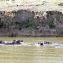TZA MOR Mikumi 2016DEC16 NP 051 : 2016, 2016 - African Adventures, Africa, Date, December, Eastern, Mikumi, Month, Morogoro, National Park, Places, Tanzania, Trips, Year