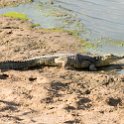 TZA MOR Mikumi 2016DEC16 NP 061 : 2016, 2016 - African Adventures, Africa, Date, December, Eastern, Mikumi, Month, Morogoro, National Park, Places, Tanzania, Trips, Year
