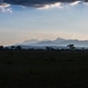 TZA MOR Mikumi 2016DEC16 NP 067 : 2016, 2016 - African Adventures, Africa, Date, December, Eastern, Mikumi, Month, Morogoro, National Park, Places, Tanzania, Trips, Year