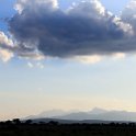 TZA MOR Mikumi 2016DEC16 NP 070 : 2016, 2016 - African Adventures, Africa, Date, December, Eastern, Mikumi, Month, Morogoro, National Park, Places, Tanzania, Trips, Year