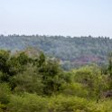 TZA PWA Msata 2016DEC22 WamiRiver 001 : 2016, 2016 - African Adventures, Africa, Date, December, Eastern, Month, Msata River, Places, Pwani, Tanzania, Trips, Year