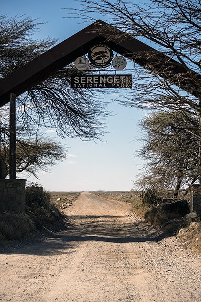 TZA ARU Shinyanga 2016DEC23 SerengetiNP 014