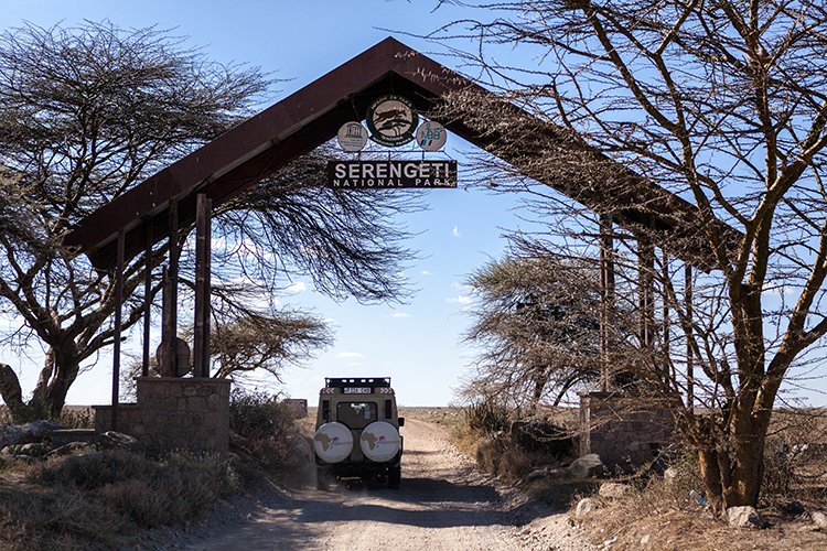 TZA ARU Shinyanga 2016DEC23 SerengetiNP 015