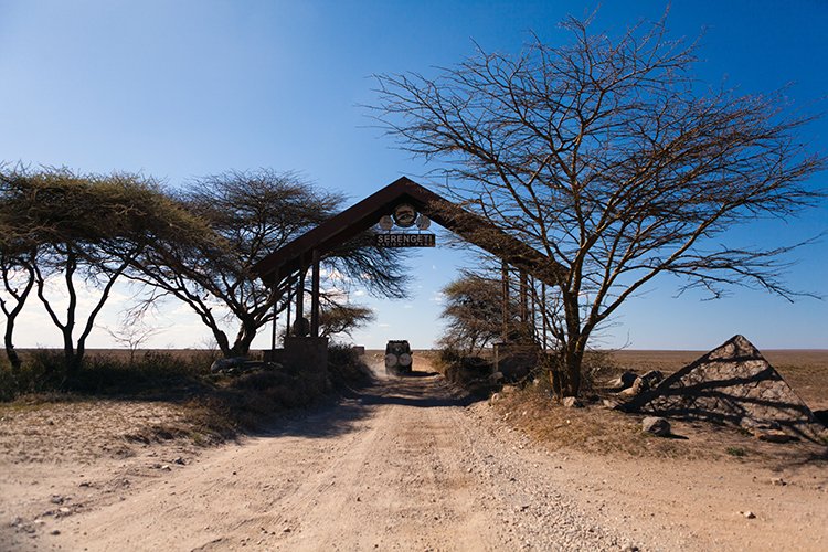 TZA ARU Shinyanga 2016DEC23 SerengetiNP 016