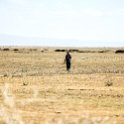 TZA ARU Shinyanga 2016DEC23 SerengetiNP 004 : 2016, 2016 - African Adventures, Africa, Date, December, Eastern, Month, Places, Serengeti National Park, Shinyanga, Tanzania, Trips, Year