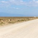 TZA ARU Shinyanga 2016DEC23 SerengetiNP 008 : 2016, 2016 - African Adventures, Africa, Date, December, Eastern, Month, Places, Serengeti National Park, Shinyanga, Tanzania, Trips, Year