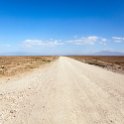 TZA ARU Shinyanga 2016DEC23 SerengetiNP 017 : 2016, 2016 - African Adventures, Africa, Date, December, Eastern, Month, Places, Serengeti National Park, Shinyanga, Tanzania, Trips, Year