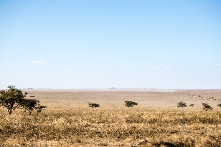 TZA ARU Shinyanga 2016DEC23 RoadB144 008