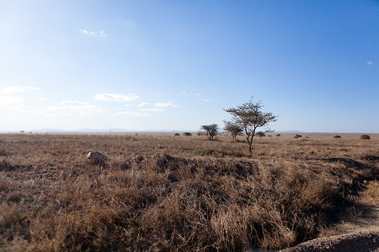 TZA ARU Shinyanga 2016DEC23 RoadB144 009