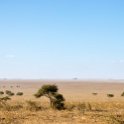 TZA ARU Shinyanga 2016DEC23 RoadB144 007 : 2016, 2016 - African Adventures, Africa, Date, December, Eastern, Month, Places, Road B144, Serengeti National Park, Shinyanga, Tanzania, Trips, Year