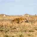 TZA ARU Shinyanga 2016DEC23 RoadB144 011 : 2016, 2016 - African Adventures, Africa, Date, December, Eastern, Month, Places, Road B144, Serengeti National Park, Shinyanga, Tanzania, Trips, Year