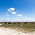 TZA SHI SerengetiNP 2016DEC24 LookoutHill 017 : 2016, 2016 - African Adventures, Africa, Date, December, Eastern, Lookout Hill, Month, Places, Serengeti National Park, Shinyanga, Tanzania, Trips, Year