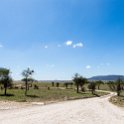 TZA SHI SerengetiNP 2016DEC24 LookoutHill 021 : 2016, 2016 - African Adventures, Africa, Date, December, Eastern, Lookout Hill, Month, Places, Serengeti National Park, Shinyanga, Tanzania, Trips, Year