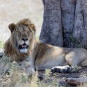 2016DEC24 - Namiri Plains