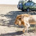 TZA SHI SerengetiNP 2016DEC24 NamiriPlains 008 : 2016, 2016 - African Adventures, Africa, Date, December, Eastern, Month, Namiri Plains, Places, Serengeti National Park, Shinyanga, Tanzania, Trips, Year
