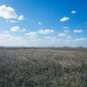 TZA SHI SerengetiNP 2016DEC24 NamiriPlains 042 : 2016, 2016 - African Adventures, Africa, Date, December, Eastern, Month, Namiri Plains, Places, Serengeti National Park, Shinyanga, Tanzania, Trips, Year