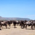 TZA SHI SerengetiNP 2016DEC25 MbalagetiRiver 004 : 2016, 2016 - African Adventures, Africa, Date, December, Eastern, Mbalageti River, Month, Places, Serengeti National Park, Shinyanga, Tanzania, Trips, Year