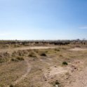 TZA SHI SerengetiNP 2016DEC25 MbalagetiRiver 011 : 2016, 2016 - African Adventures, Africa, Date, December, Eastern, Mbalageti River, Month, Places, Serengeti National Park, Shinyanga, Tanzania, Trips, Year