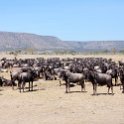 TZA SHI SerengetiNP 2016DEC25 MbalagetiRiver 012 : 2016, 2016 - African Adventures, Africa, Date, December, Eastern, Mbalageti River, Month, Places, Serengeti National Park, Shinyanga, Tanzania, Trips, Year