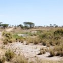 TZA SHI SerengetiNP 2016DEC25 MbalagetiRiver 017 : 2016, 2016 - African Adventures, Africa, Date, December, Eastern, Mbalageti River, Month, Places, Serengeti National Park, Shinyanga, Tanzania, Trips, Year