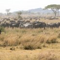 TZA SHI SerengetiNP 2016DEC25 MbalagetiRiver 022 : 2016, 2016 - African Adventures, Africa, Date, December, Eastern, Mbalageti River, Month, Places, Serengeti National Park, Shinyanga, Tanzania, Trips, Year