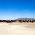 TZA SHI SerengetiNP 2016DEC25 MbalagetiRiver 028 : 2016, 2016 - African Adventures, Africa, Date, December, Eastern, Mbalageti River, Month, Places, Serengeti National Park, Shinyanga, Tanzania, Trips, Year