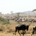TZA SHI SerengetiNP 2016DEC25 MbalagetiRiver 029 : 2016, 2016 - African Adventures, Africa, Date, December, Eastern, Mbalageti River, Month, Places, Serengeti National Park, Shinyanga, Tanzania, Trips, Year