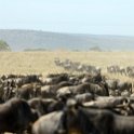 TZA SHI SerengetiNP 2016DEC25 MbalagetiRiver 030 : 2016, 2016 - African Adventures, Africa, Date, December, Eastern, Mbalageti River, Month, Places, Serengeti National Park, Shinyanga, Tanzania, Trips, Year
