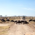TZA SHI SerengetiNP 2016DEC25 MbalagetiRiver 033 : 2016, 2016 - African Adventures, Africa, Date, December, Eastern, Mbalageti River, Month, Places, Serengeti National Park, Shinyanga, Tanzania, Trips, Year
