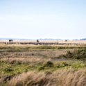 TZA SHI SerengetiNP 2016DEC25 LakeMagadi 020 : 2016, 2016 - African Adventures, Africa, Date, December, Eastern, Month, Northern Lake Magadi, Places, Serengeti National Park, Shinyanga, Tanzania, Trips, Year